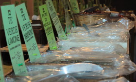 Tè Fest